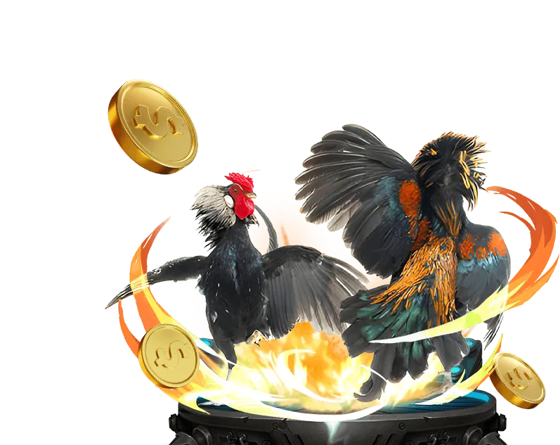 Đá gà và Xổ số truyền thống